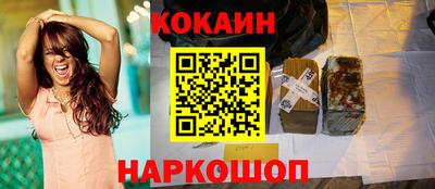 стаф Можга