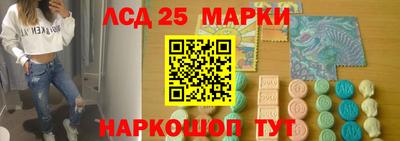 стаф Можга