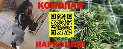 стаф Можга