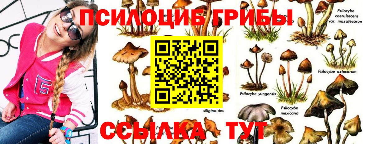 Псилоцибиновые грибы MAGIC MUSHROOMS  Вход с VPN  Узловая 