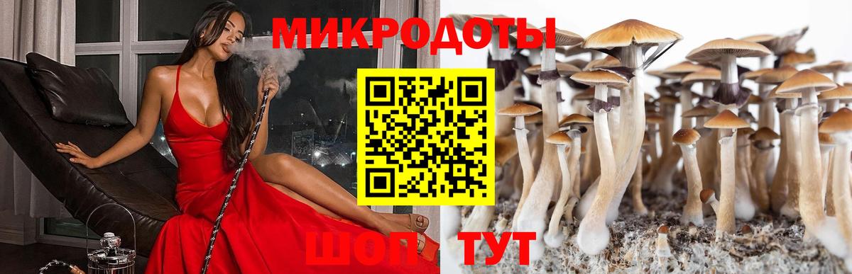 Псилоцибиновые грибы Psilocybine cubensis Узловая