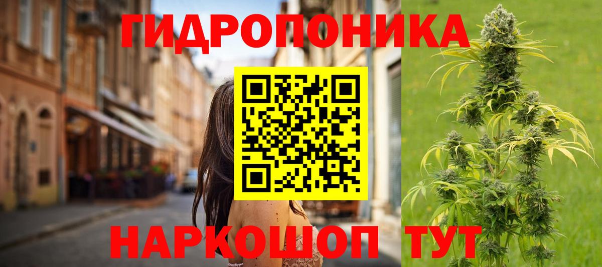 МАРИХУАНА планчик  Конопля индика  Узловая  Бошки марихуана LSD WEED  Вход с VPN 